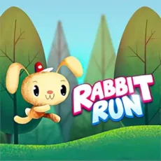 Rabbit Run