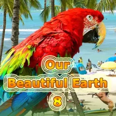 Our Beautiful Earth 8 Collector's Edition